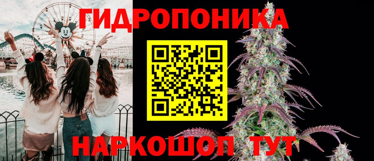 Каннабис OG Kush Набережные Челны